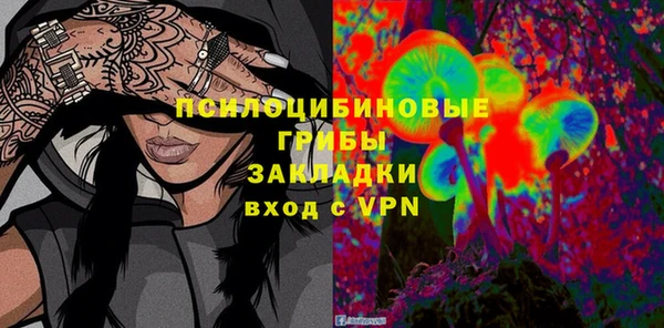 соль ск Аркадак